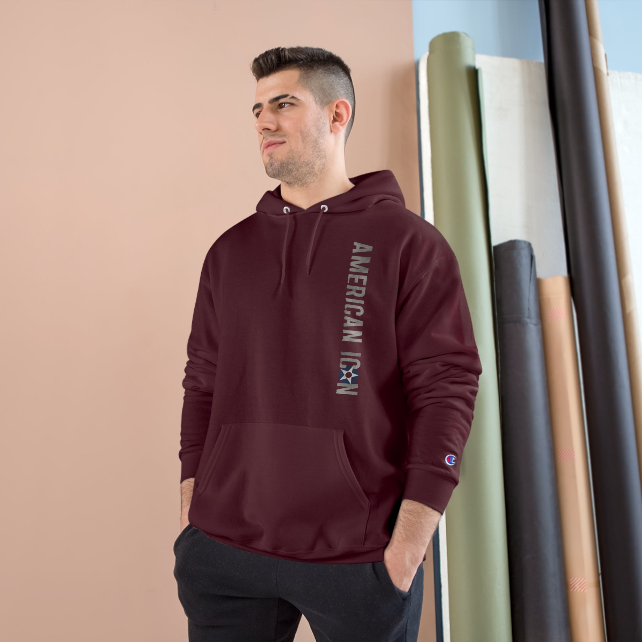 CURTISS USA ICON P-40 CHAMPION HOODIE - VERTICAL CHEST, LARGE BACK LOGO