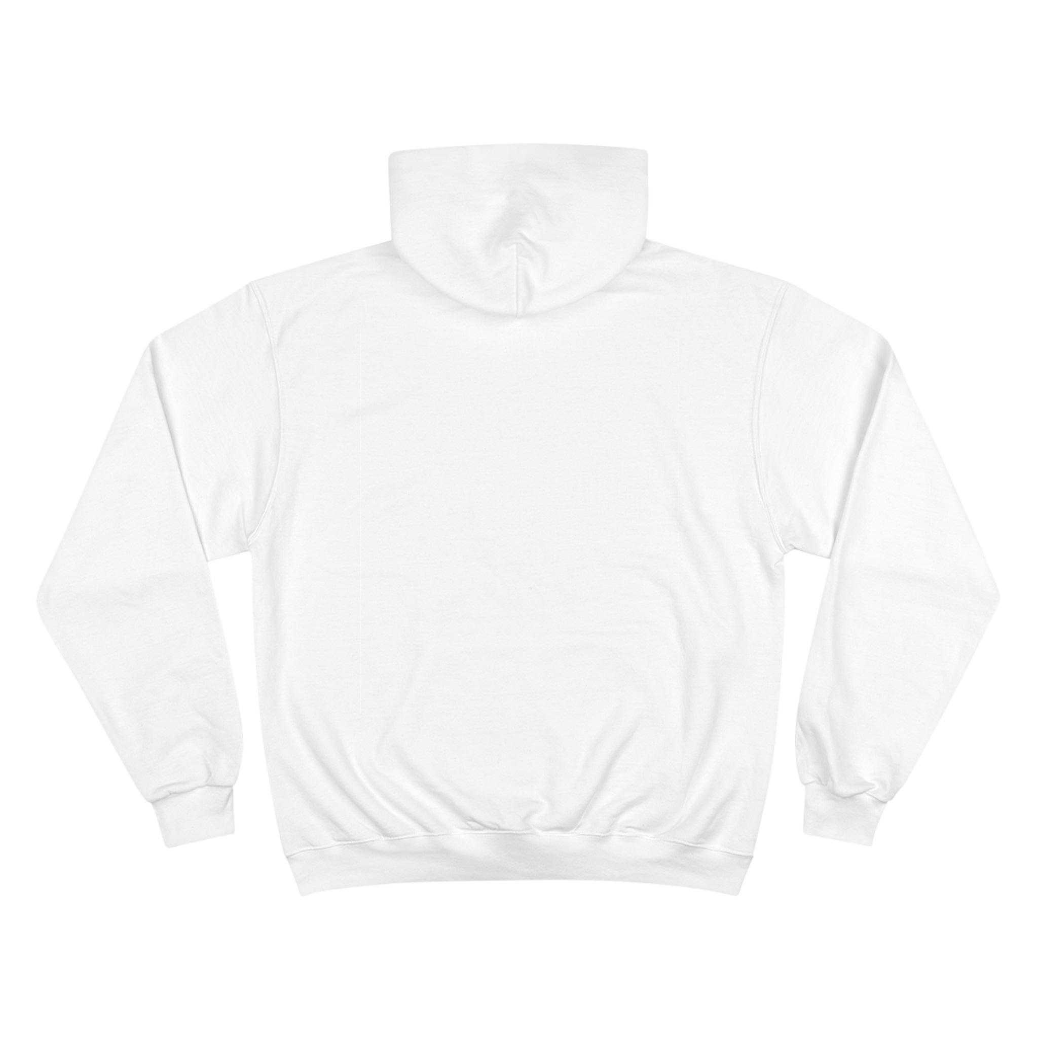 CURTISS USA ICON P-40 CHAMPION HOODIE - VERTICAL CHEST, LARGE BACK LOGO